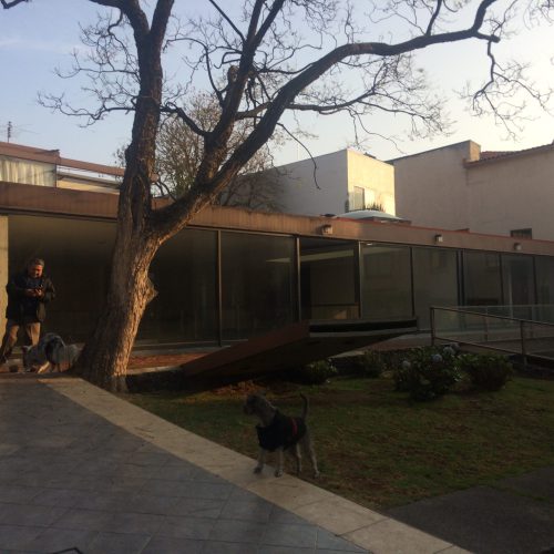 Casa Las Aguilas Remodelación